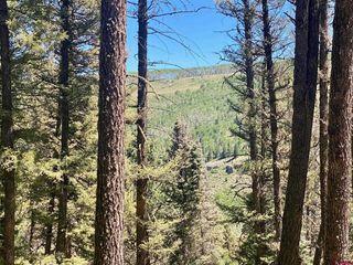 768 Deer Trail Road, Cimarron, CO 81220