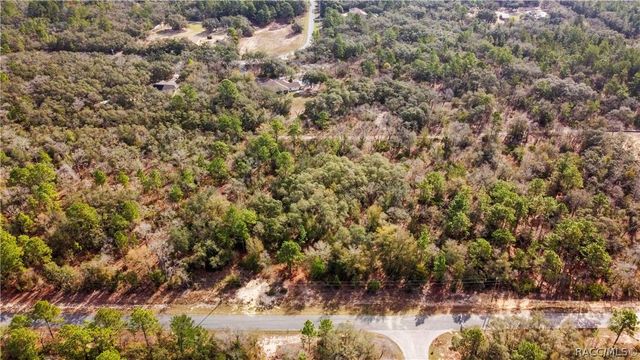 2257 N Stampede Drive, Beverly Hills, FL 34465