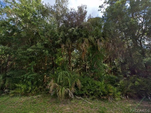 0 S Shearer Street, Inglis, FL 34449