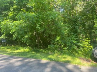 00 Battleline Drive, Rocky Face, GA 30740