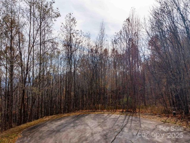 242 Nottingham Drive, Mill Spring, NC 28756