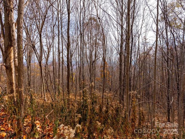 242 Nottingham Drive, Mill Spring, NC 28756