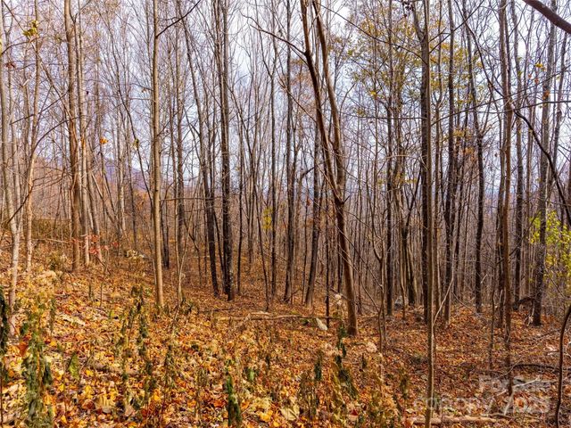 242 Nottingham Drive, Mill Spring, NC 28756