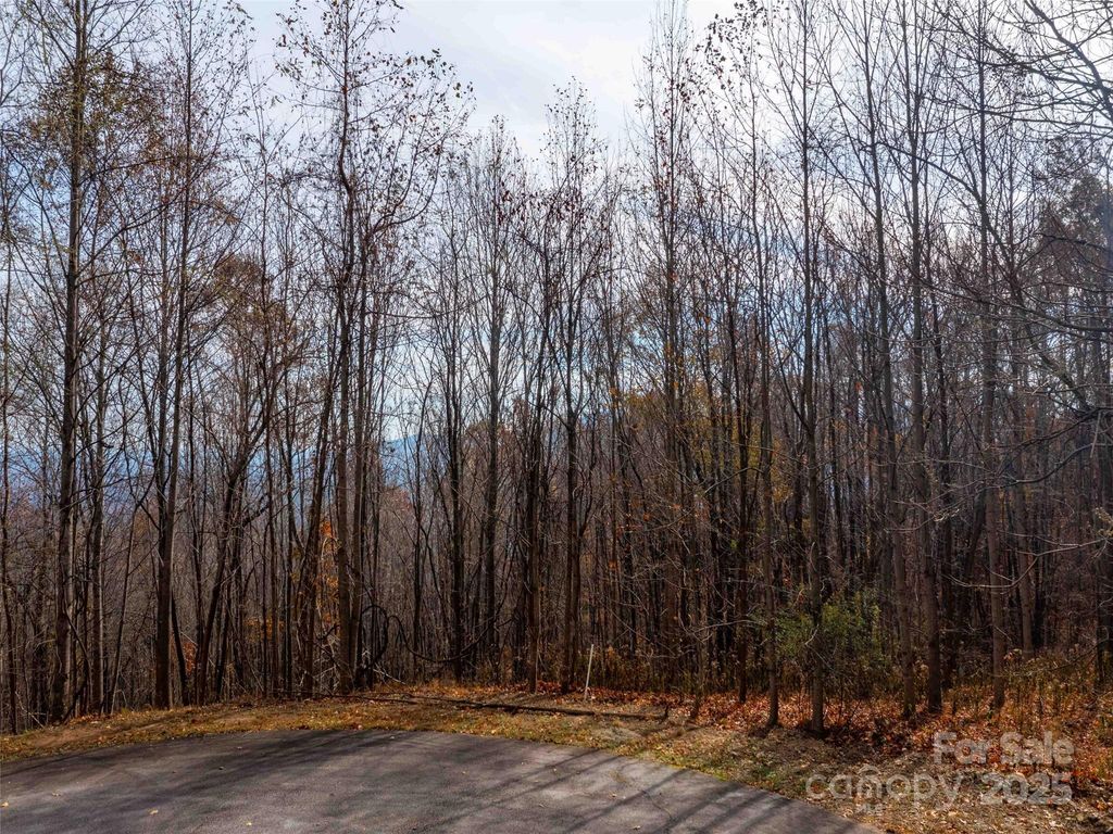 242 Nottingham Drive, Mill Spring, NC 28756