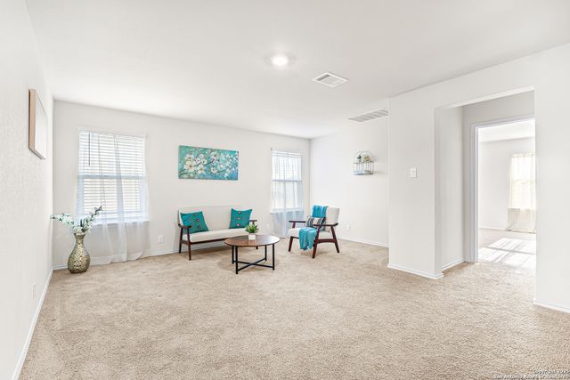 1102 Andean Emerald, San Antonio, TX 78253