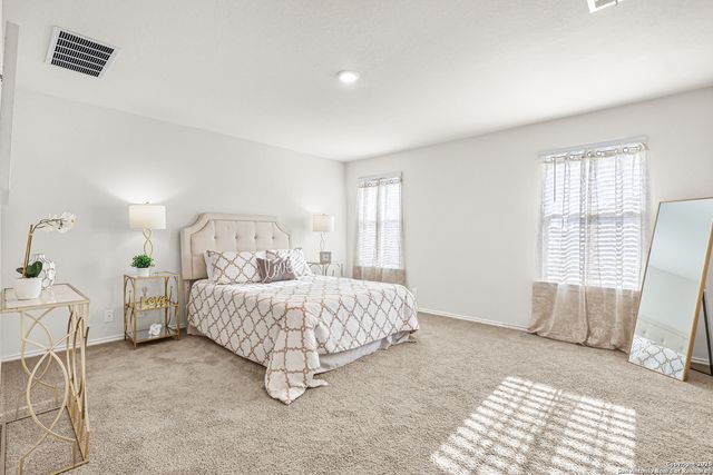 1102 Andean Emerald, San Antonio, TX 78253