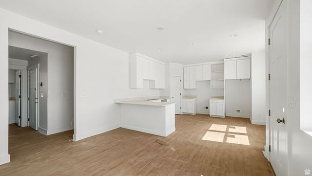 729 S HARRISON DR, Springville, UT 84663