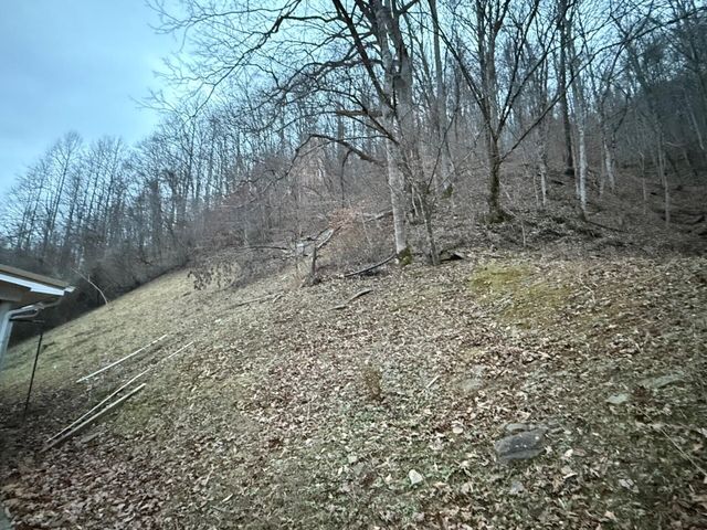 10361 State Hwy 194 E, Kimper, KY 41539