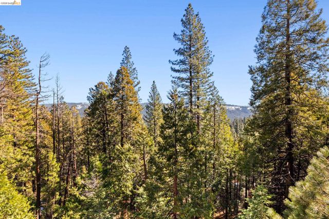 29803 Mono Trail, Cold Springs, CA 95335