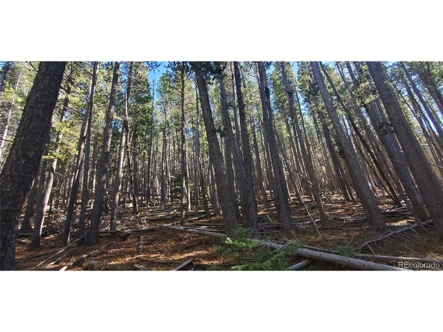 2682 Purnell Ln, Fort Garland, CO 81133