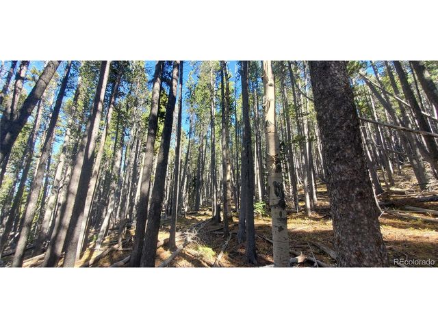 2682 Purnell Ln, Fort Garland, CO 81133