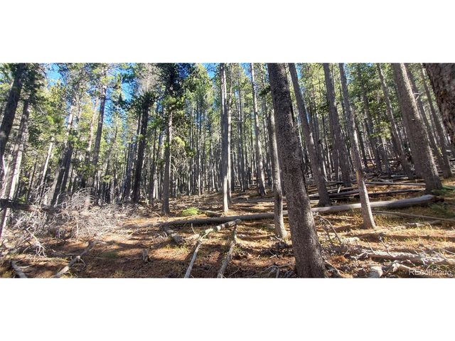 2682 Purnell Ln, Fort Garland, CO 81133