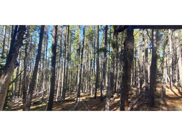 2682 Purnell Ln, Fort Garland, CO 81133