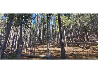 2682 Purnell Ln, Fort Garland, CO 81133