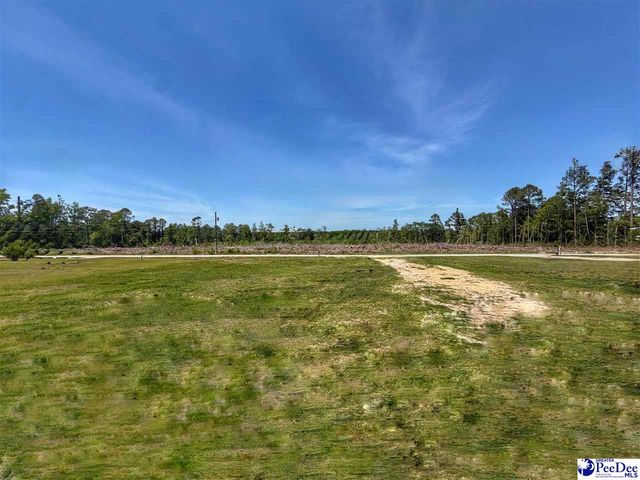1947 Russell Court, Dillon, SC 29536