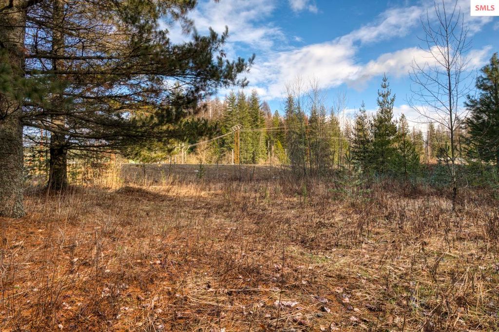 64 W Bronx, Ponderay, ID 83864 photo 11