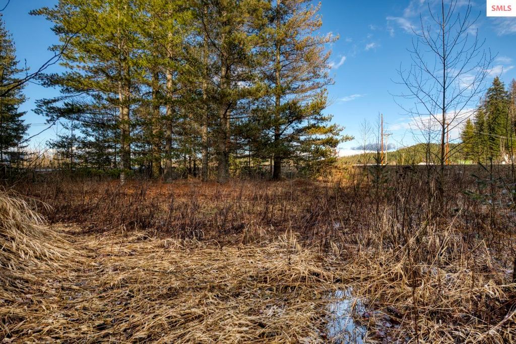 64 W Bronx, Ponderay, ID 83864 photo 13