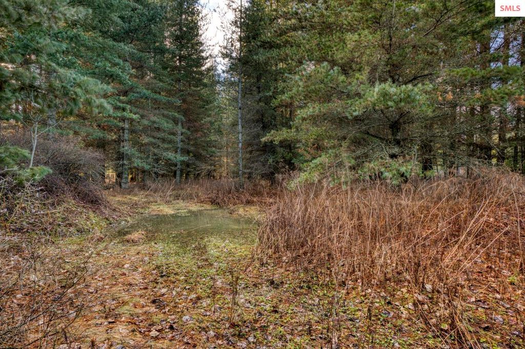 64 W Bronx, Ponderay, ID 83864 photo 14