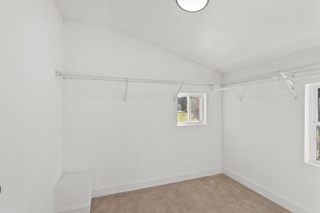 8637 Dog Branch Rd, Mount Pleasant, TN 38474