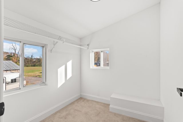 8637 Dog Branch Rd, Mount Pleasant, TN 38474