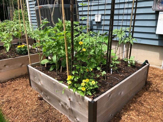 81 Parish Rd, Needham, MA 02494