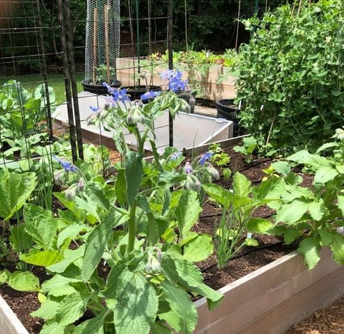 81 Parish Rd, Needham, MA 02494