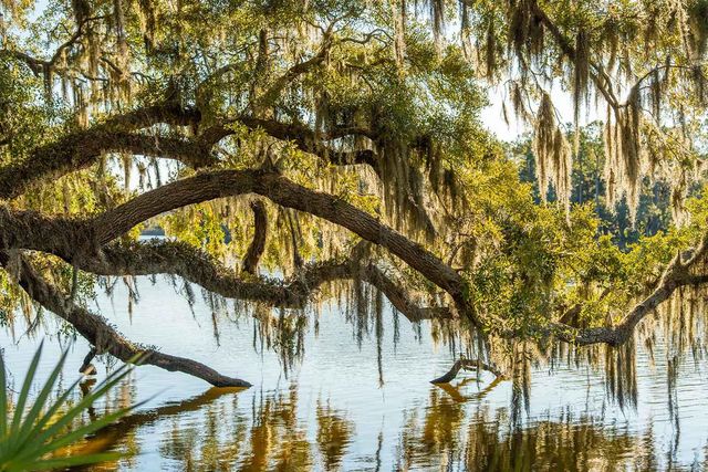 3022 Eventide Drive, Johns Island, SC 29455