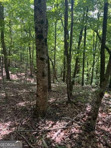10.96 AC Paramount Trail, Ellijay, GA 30536
