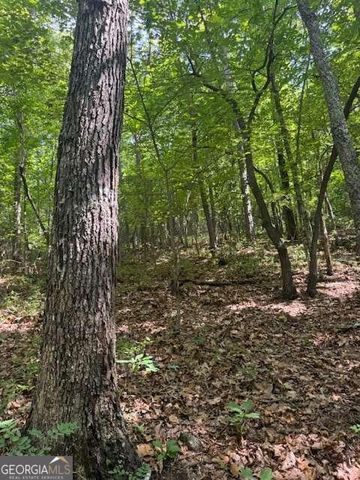 10.96 AC Paramount Trail, Ellijay, GA 30536