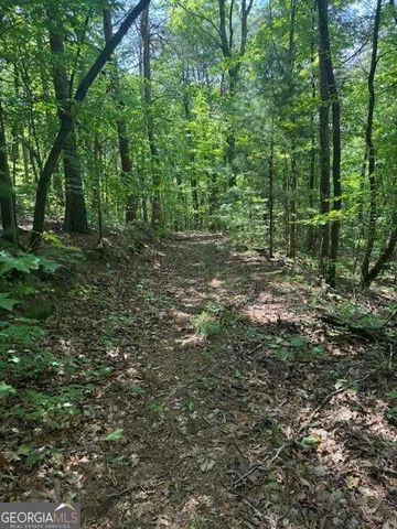 10.96 AC Paramount Trail, Ellijay, GA 30536