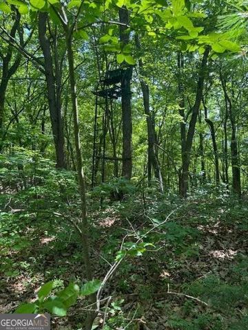 10.96 AC Paramount Trail, Ellijay, GA 30536