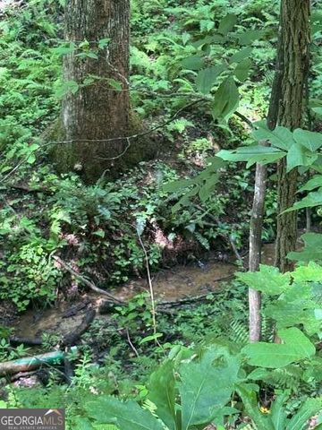10.96 AC Paramount Trail, Ellijay, GA 30536