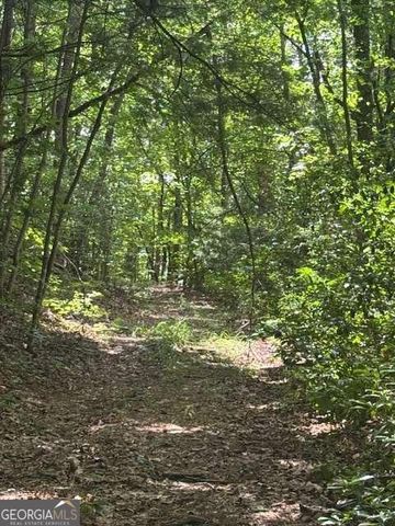 10.96 AC Paramount Trail, Ellijay, GA 30536