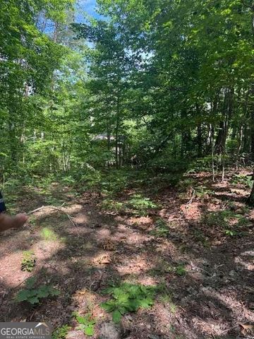 10.96 AC Paramount Trail, Ellijay, GA 30536
