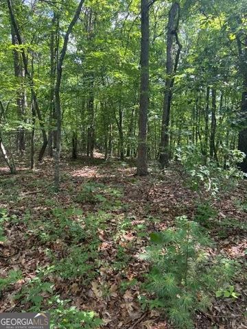 10.96 AC Paramount Trail, Ellijay, GA 30536