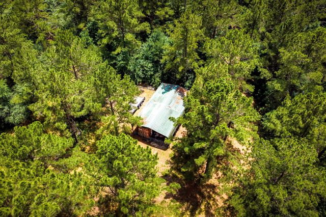 1204 Mangum Road, Livingston, TX 77351