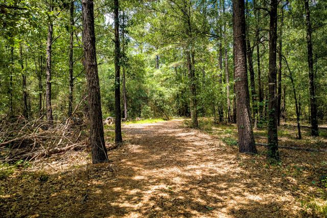 1204 Mangum Road, Livingston, TX 77351