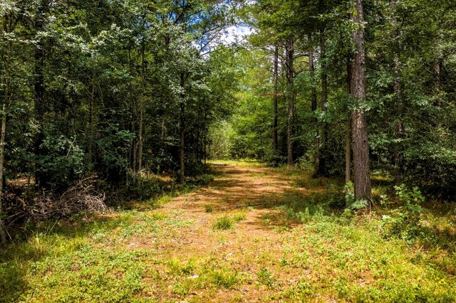 1204 Mangum Road, Livingston, TX 77351