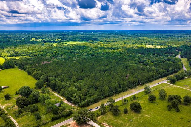 1204 Mangum Road, Livingston, TX 77351