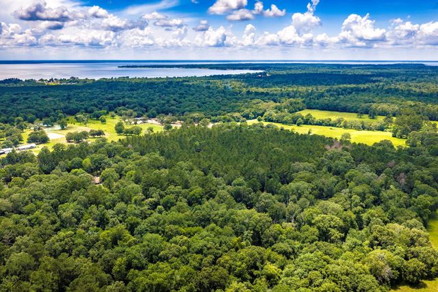 1204 Mangum Road, Livingston, TX 77351