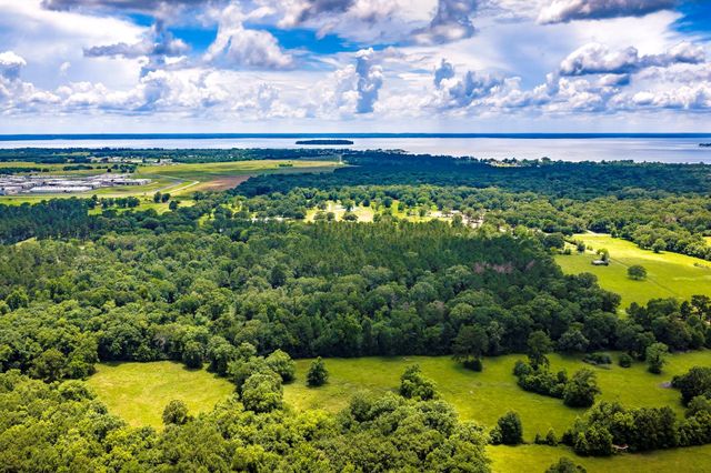 1204 Mangum Road, Livingston, TX 77351
