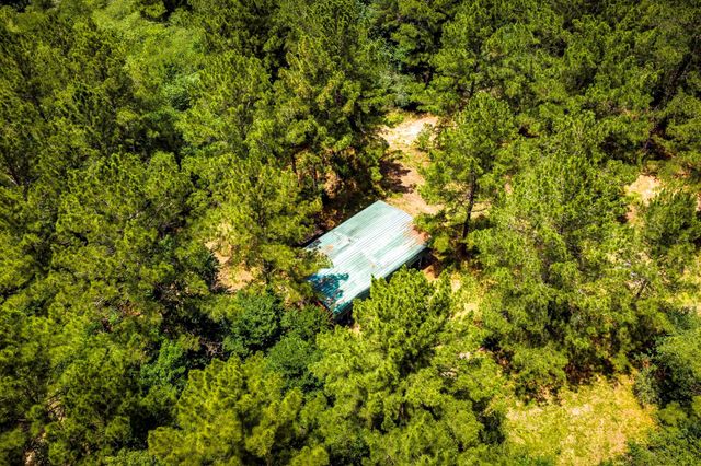 1204 Mangum Road, Livingston, TX 77351