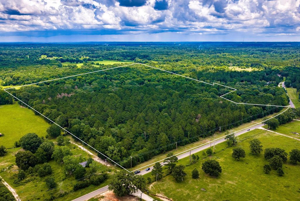 1204 Mangum Road, Livingston, TX 77351