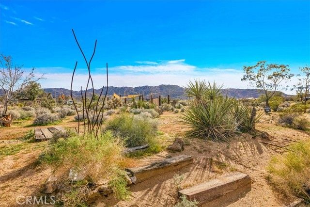 61481 Latham Trail, Joshua Tree, CA 92252