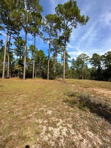 60 N Magnolia Court, Freeport, FL 32439