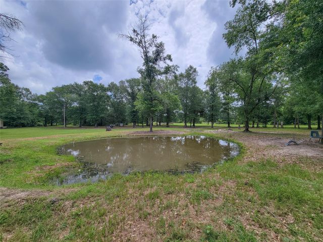 1785 Misty Hollow Lane, Bedias, TX 77831