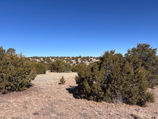 Lot 174 Pinon Springs, Magdalena, NM 87825