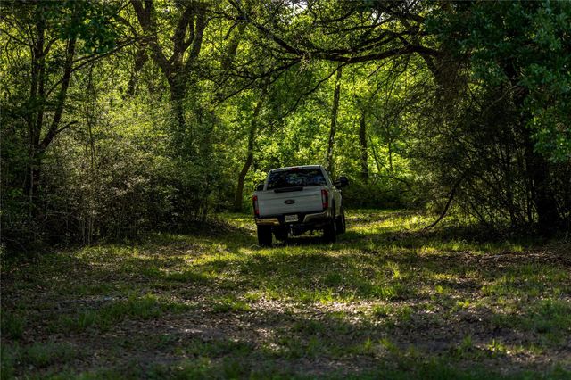 4201 Krueger Road, Chappell Hill, TX 77880