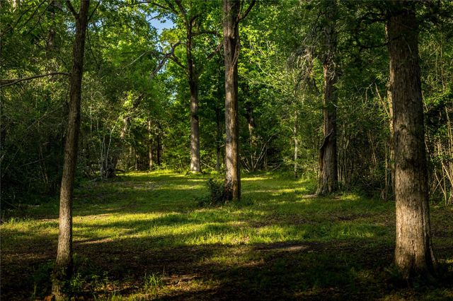 4201 Krueger Road, Chappell Hill, TX 77880