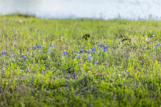4201 Krueger Road, Chappell Hill, TX 77880